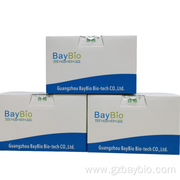 Magnetic extraction Baypure Agarose Gel DNA Recovery Kit